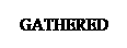 Text Box: GATHERED
